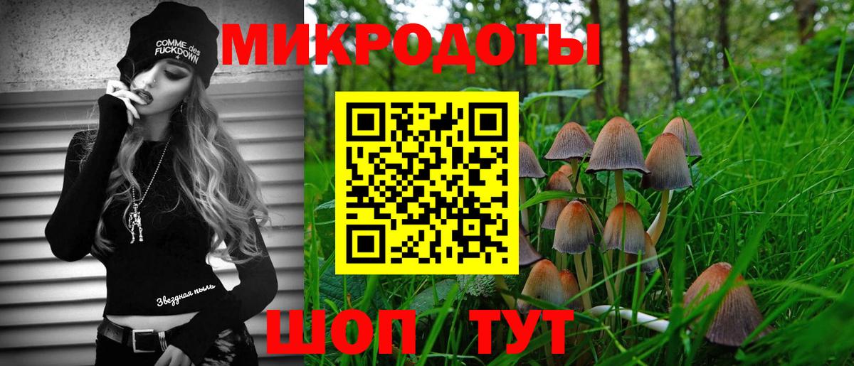 Галлюциногенные грибы Psilocybe  Вход с VPN  Амурск 